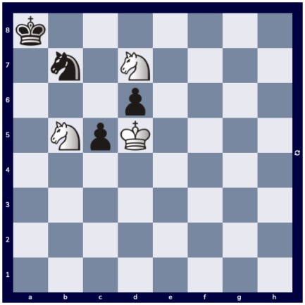How Chess Players Think